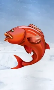 Ice Fishing